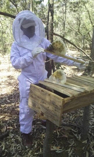 MacJohnson Apiaries