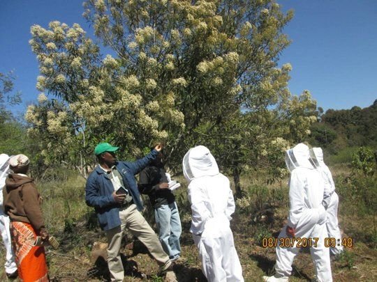 Beekeeping training facilitation