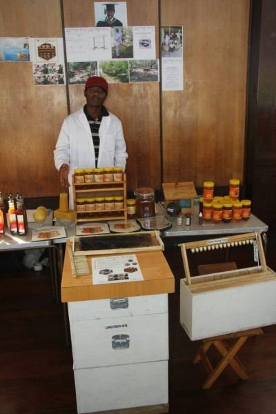 Bee Pollination services