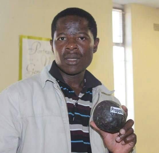 Commercial Beekeeping Consultancy