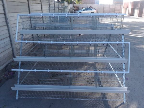 Chicken layer cages for sale