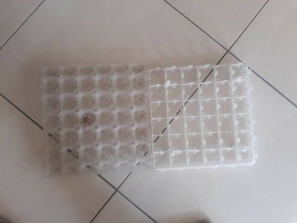 36 egg trays for sale