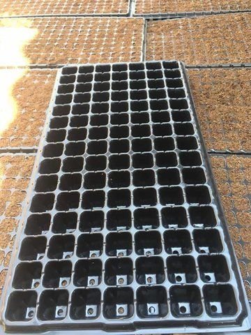 Plastic seedling trays