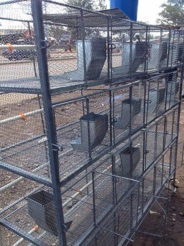 Chicken & Rabbit cages - Bulawayo