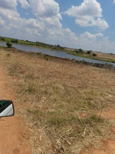 35 hectare farm to let in Mhangura