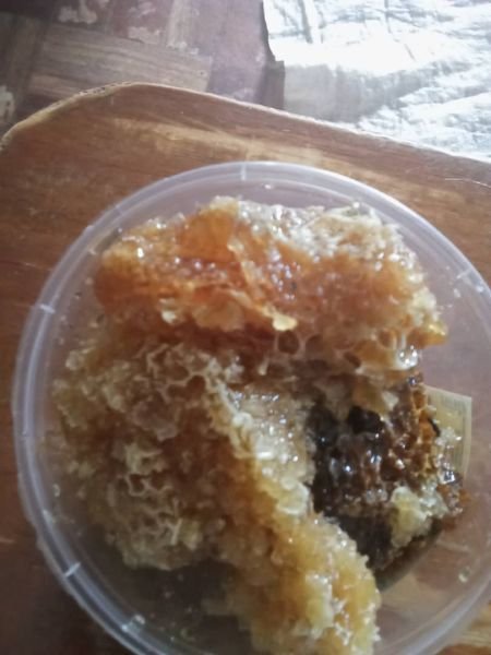Organic Honey for sale