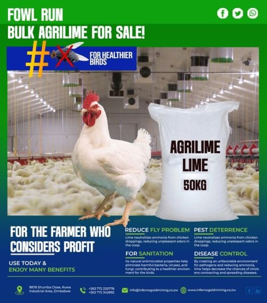 Agri lime for healthier poultry for sale