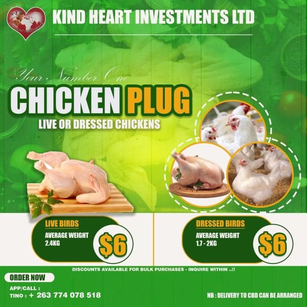 Broilers for sale in Harare