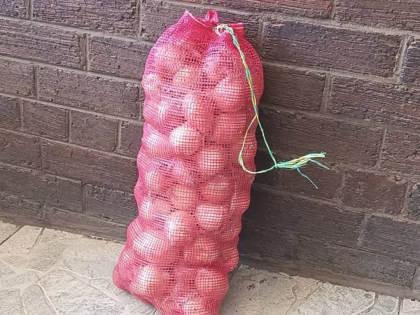 Dried onions in 10kg pocket