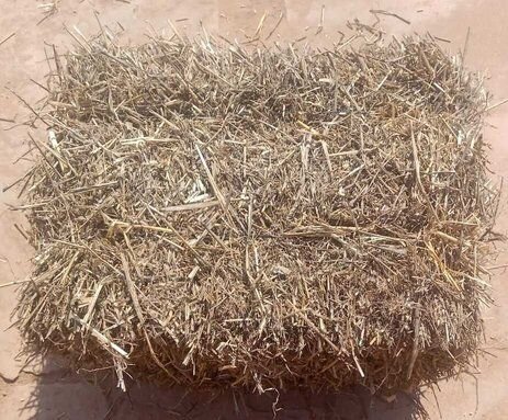 Wheat hay bales for sale