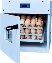 High Quality Egg Incubators in Harare
