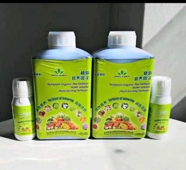 Nutriplant Organic Fertilizer