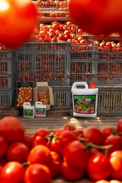 GROW WITH D.I GROW , HARVEST ANYTIME!