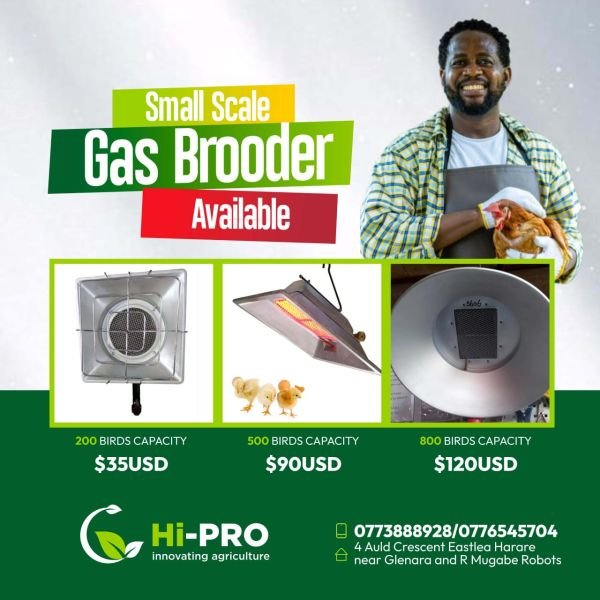 Gas brooders for sale