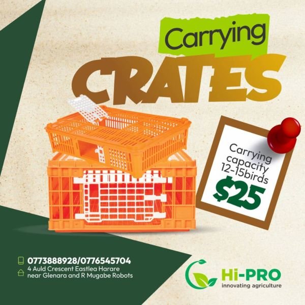 Chicken transferring crates for sale
