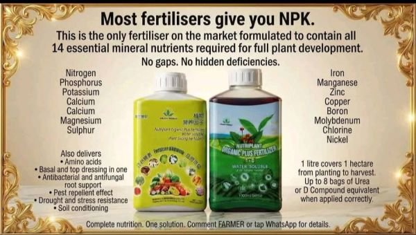 Nutriplant Organic Plus for Fruit Farmers – Mutare