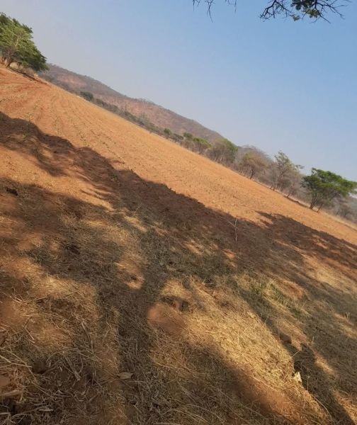20HA FARM FOR LEASE – MHANGURA
