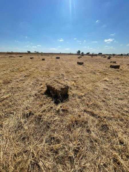 Hay bales in Nyabira