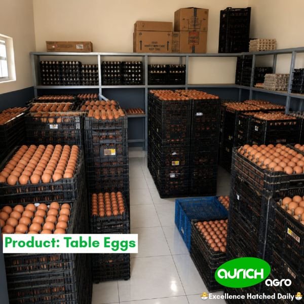 Table Eggs