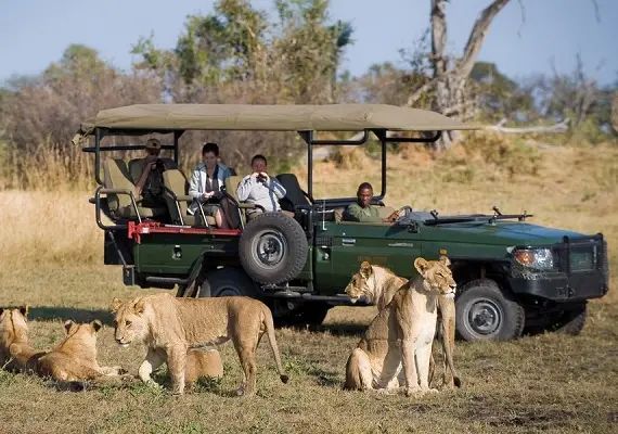 Bubbles Tours & Safaris