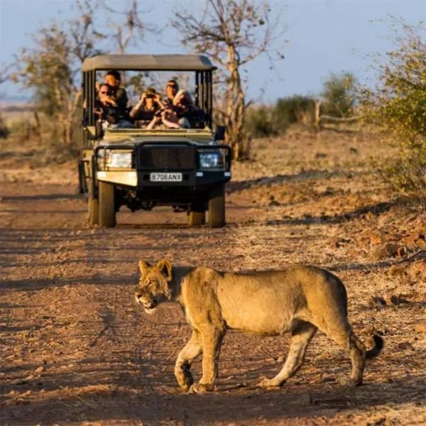 Bubbles Tours & Safaris